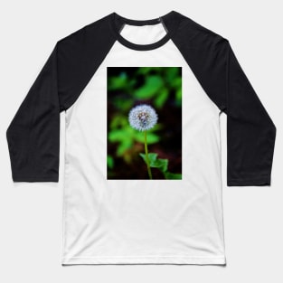 Dandelion Clock Baseball T-Shirt